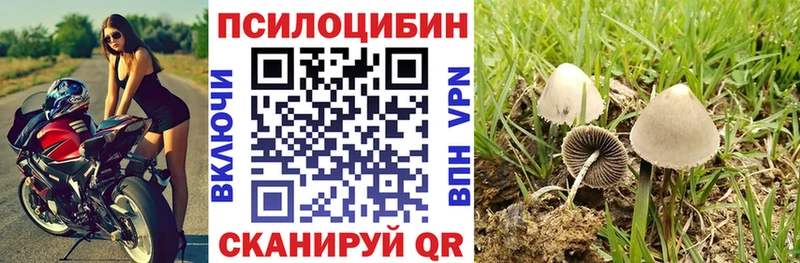 ОМГ ОМГ как войти  Коммунар  Галлюциногенные грибы Cubensis  закладки 
